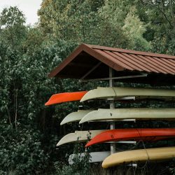enis-xLMTTDgxYLE-unsplash